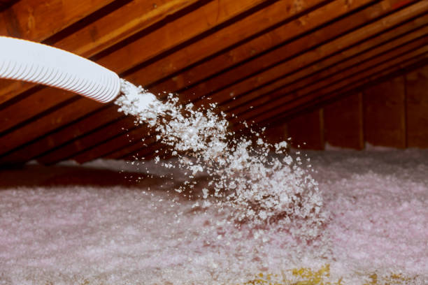 Efficiency Matters: Fiberglass, Cellulose, and Spray Foam in Home Insulation